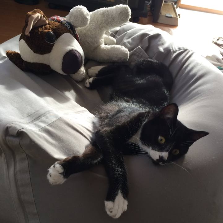 0d0b8c90 e881 45dc a7a2 a27de1dfa560