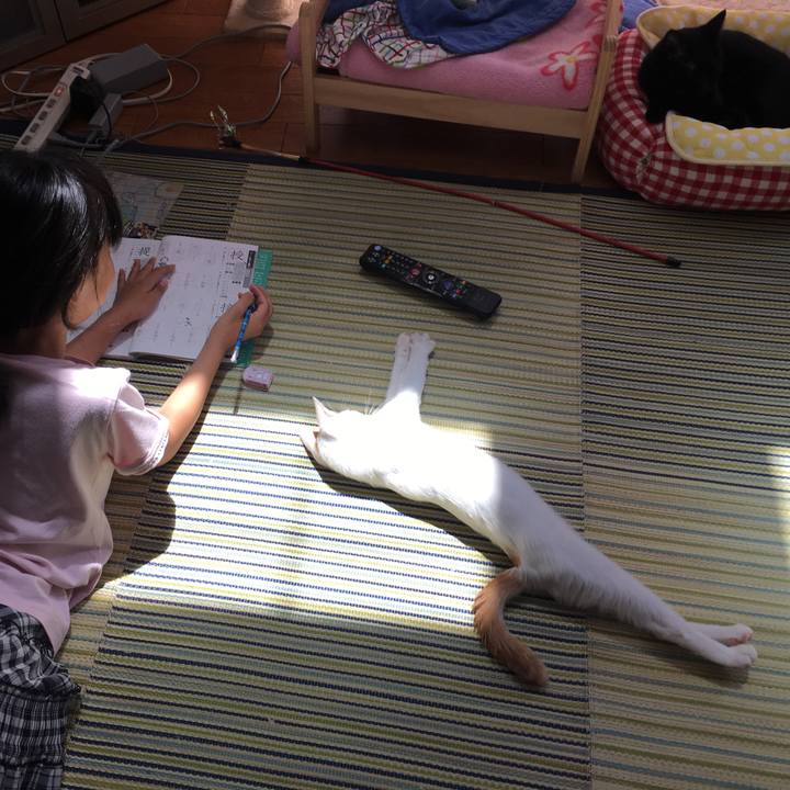 0d0bbf24 45cb 4efc 88e2 82a0304b6350