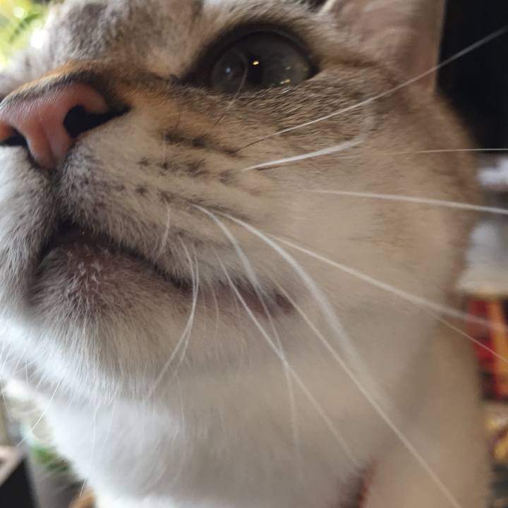 0d0bc60e c12c 4a88 841a 88088eec7772