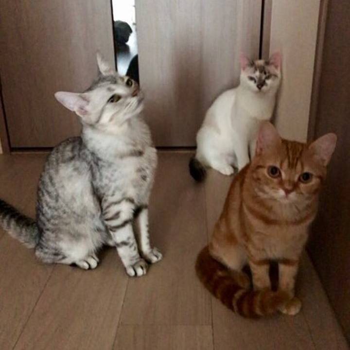 0d0c0111 de4a 4baf 9d89 d59e4c27cddf