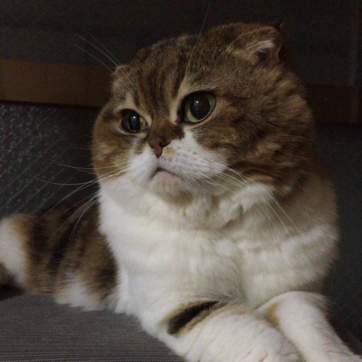 0d0c2552 96a6 4fa3 8861 70e7d9f5052e