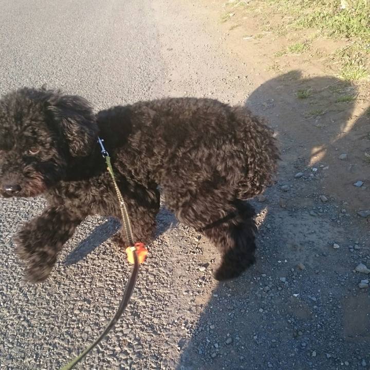 0d0da8d1 d681 436f b050 5fbe87273321