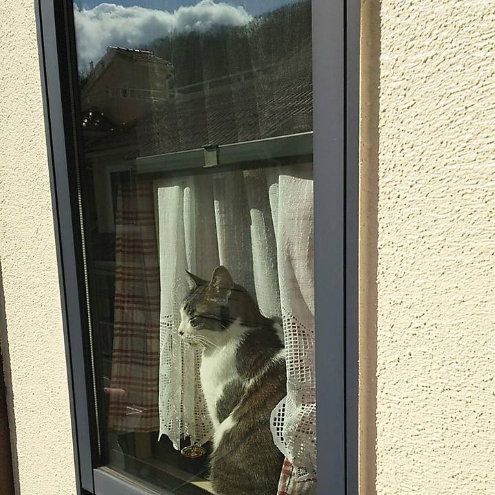 0d0e3f27 4435 482c aff6 9bf7d87cef06