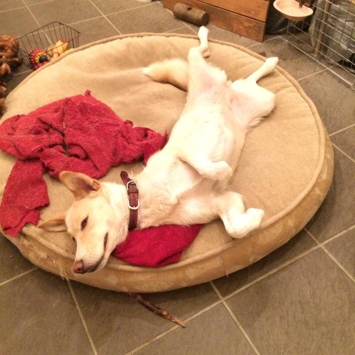 0d0eb784 b734 48c6 bb21 e87a573dc3a7