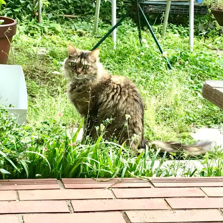 0d0eeba5 0ae6 434d 9d25 f607bb593056