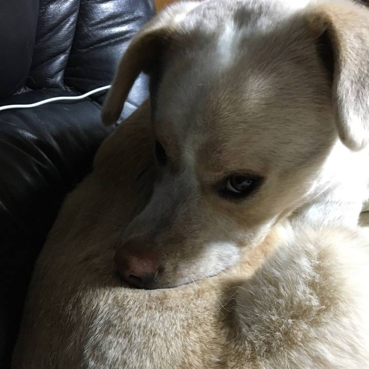 0d1068b4 bdd6 4022 8105 6ee86962c0ef