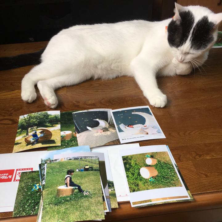 0d10757b df93 43a0 9df8 d3887deb30d6