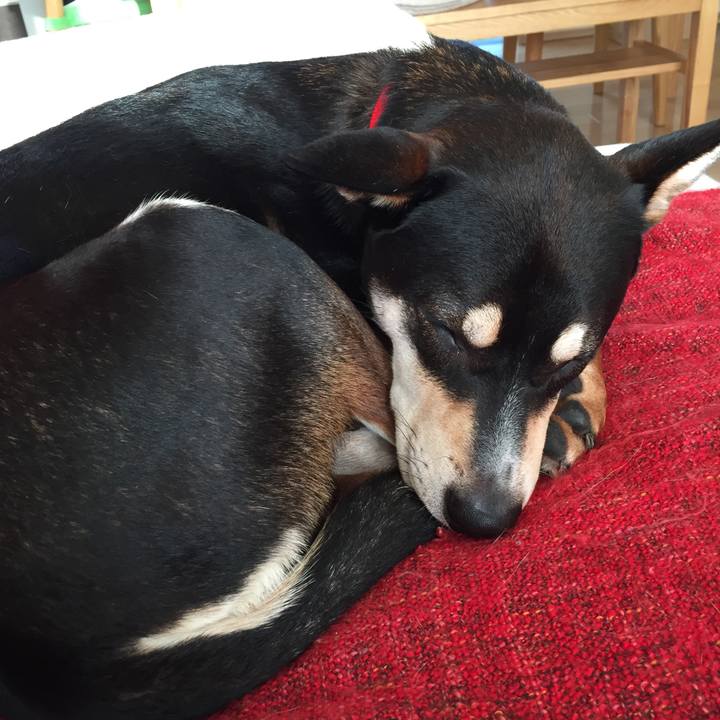 0d112545 f065 4b18 84c6 1cca1c0c34bc