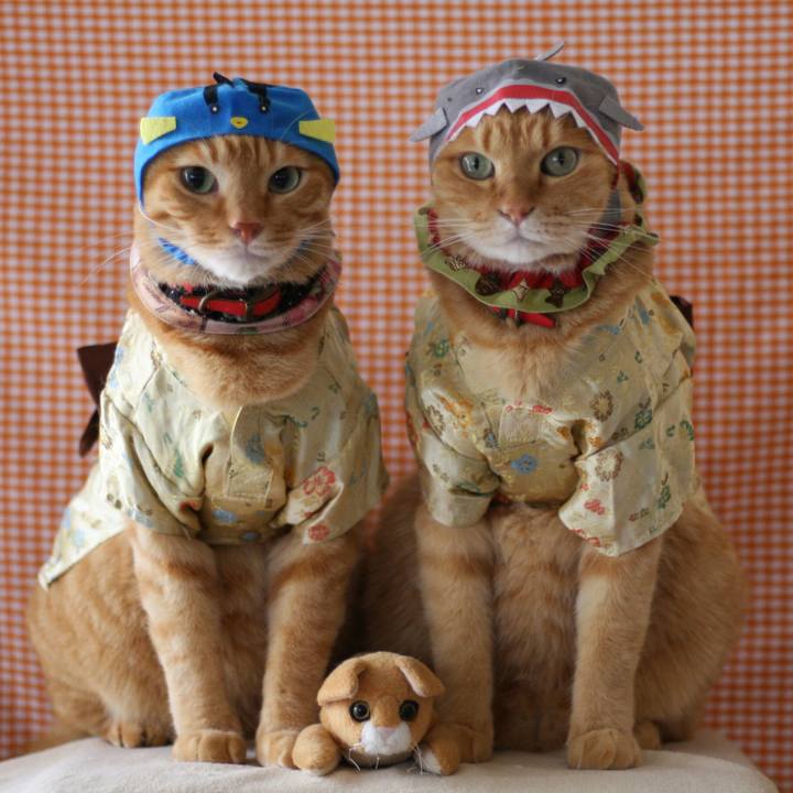 0d122b21 33bd 48a6 b2fc db75c989773f