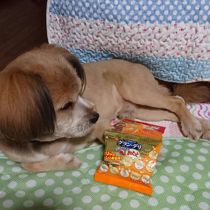 0d1255b8 ba9a 4c1e ad78 8ec7bdf81ace