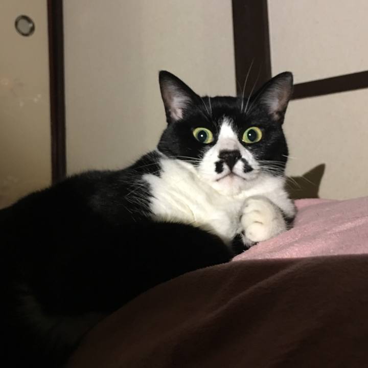 0d12a2d3 eee7 4229 8b57 cb386e3a8d92