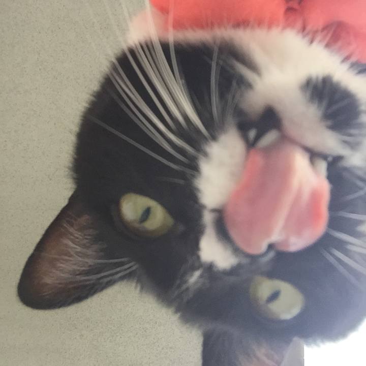 0d12ae5e dfe6 4402 bf1e 908a5191cc88