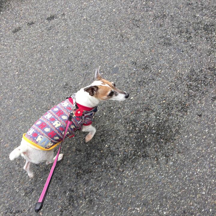 0d12df34 b613 401a b14f d1f3aab05c60