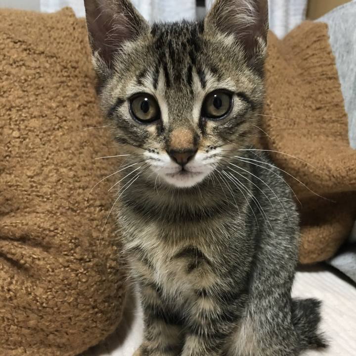 0d12e05d 6a62 464b aef6 8e007876a3ca