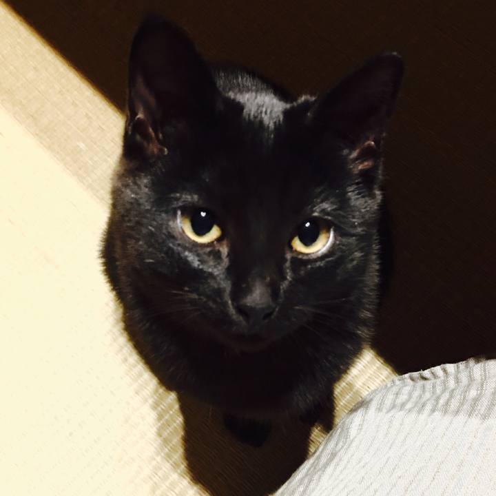 0d12e5fe acc0 49c2 a93d 9e5ddfcceb35