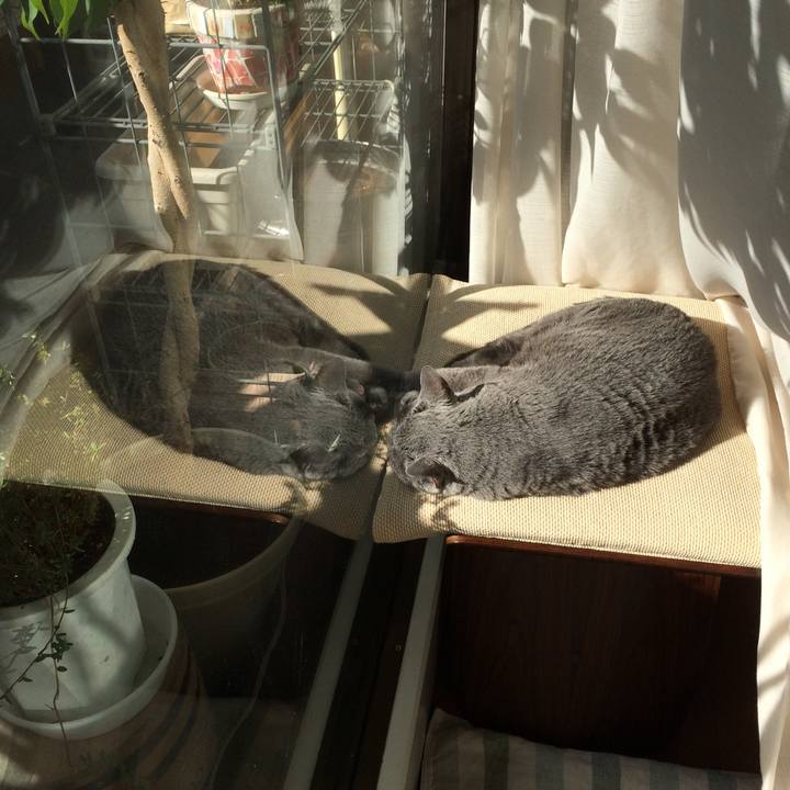 0d13ea8c 5cd4 41c0 ada5 8b484ffa4144