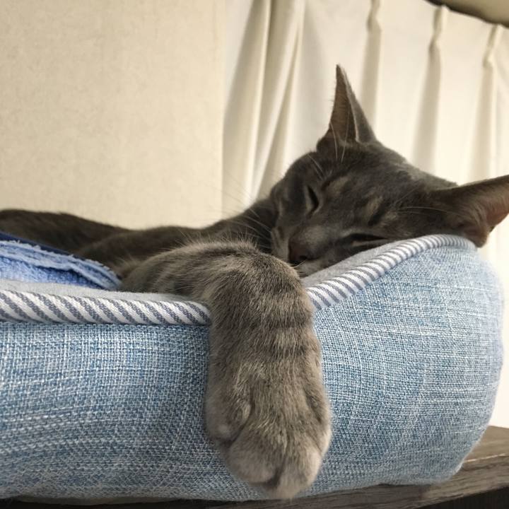 0d1437e6 0ce1 4485 838e 5bf6e480eafa