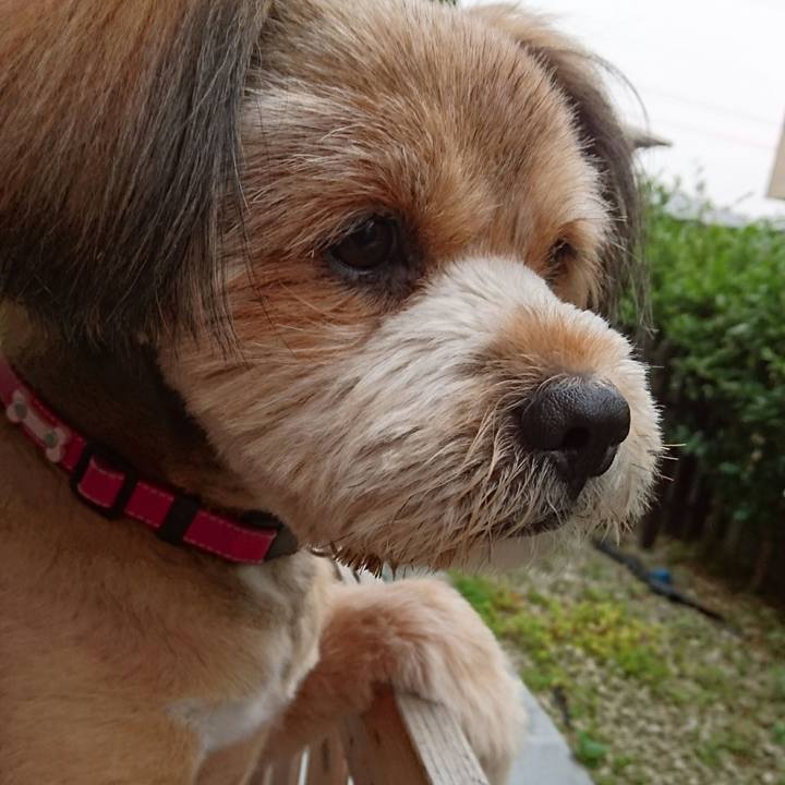 0d1510a5 84e9 4e66 9d2a 03ae98714dfe