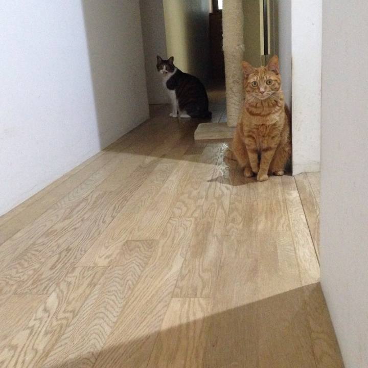 0d157d6a 336e 41ff b2d5 c3a5acb9b4c0