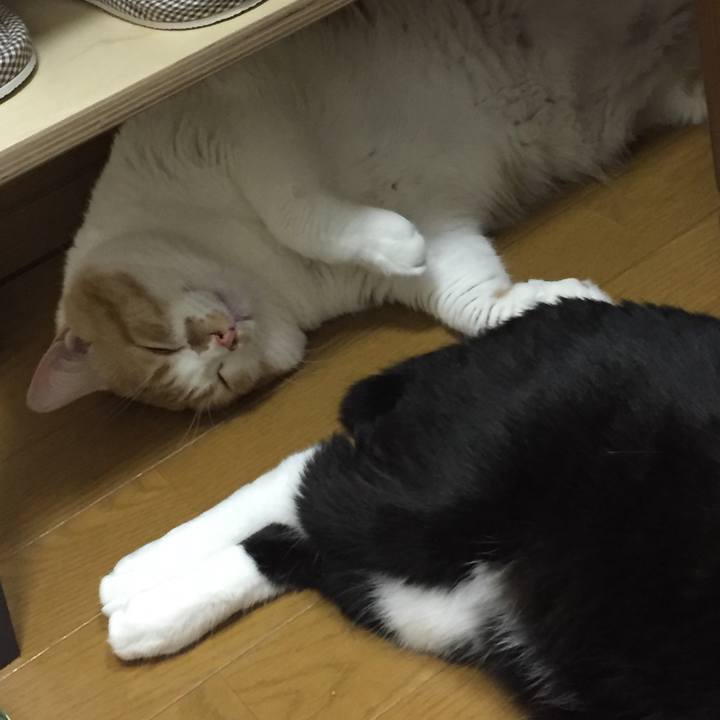 0d161626 cdf0 42b8 be46 83b62f204366