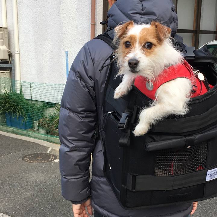 0d165dbf 687c 4e72 9e63 27a8d7407328