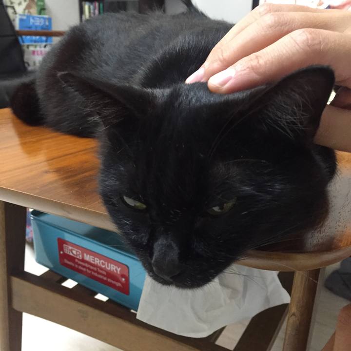 0d16c42e 99bd 4afe aa5f a090fcddb39f