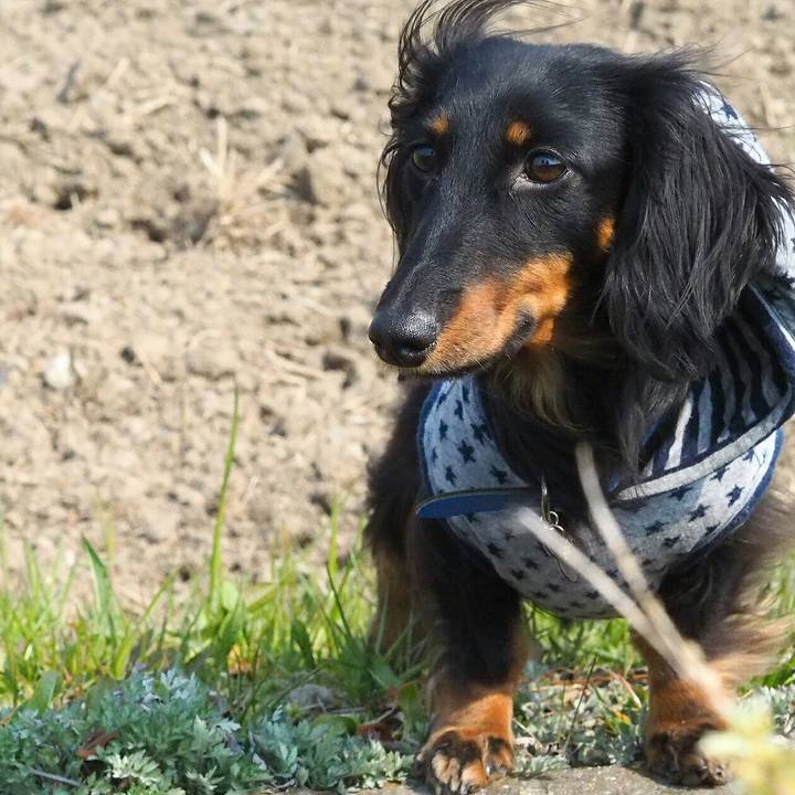 0d16e40e 30e9 4b04 9f7e 5a63adf0a526