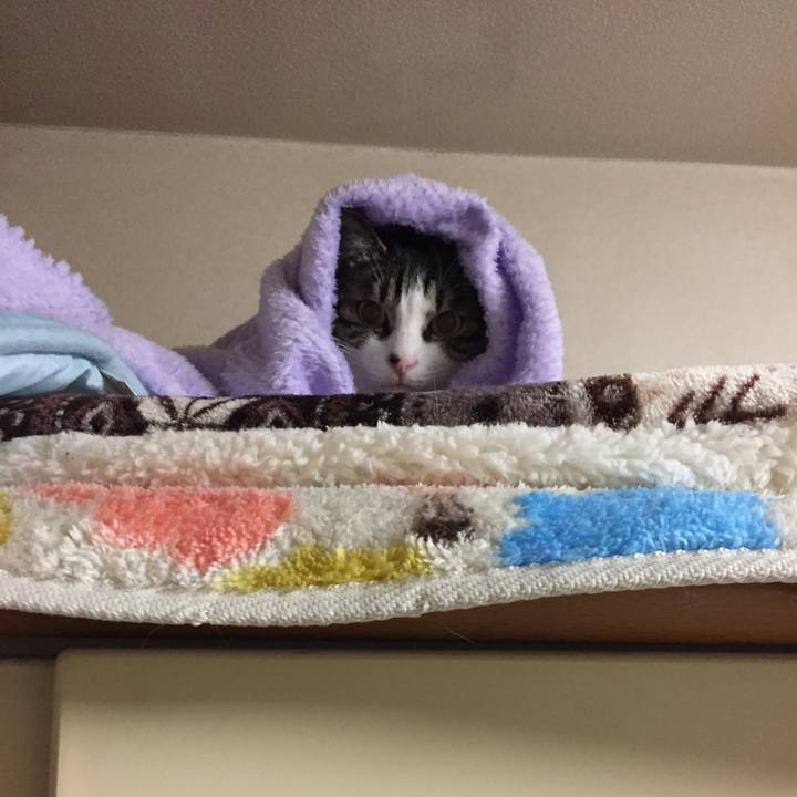 0d177992 2df4 4050 944b 1842f4ac16c8