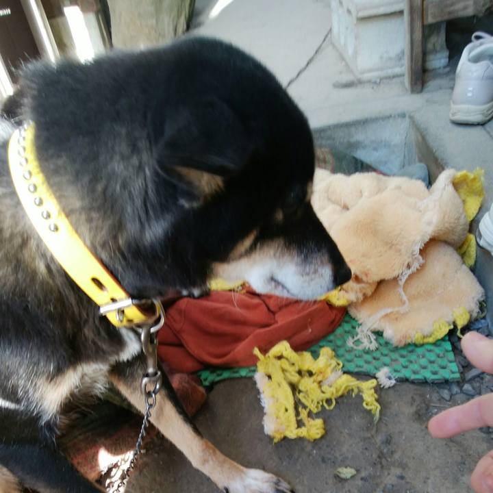 0d177b1f 8f36 4646 8a02 1876af719a24