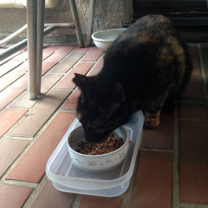 0d185b64 4919 4e2e ba3e a846aa0109cd