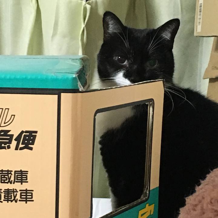 0d190fb3 64f6 4945 860a b37dd9bd4554