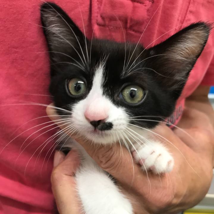 0d19612b 329b 4989 a4ff ff20472debee