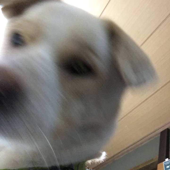 0d1a1525 dd57 40f6 941c 6cf38304d2e4