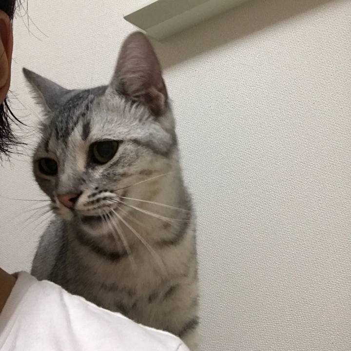 0d1a26fb a693 41bd a3bc ababe67124ab