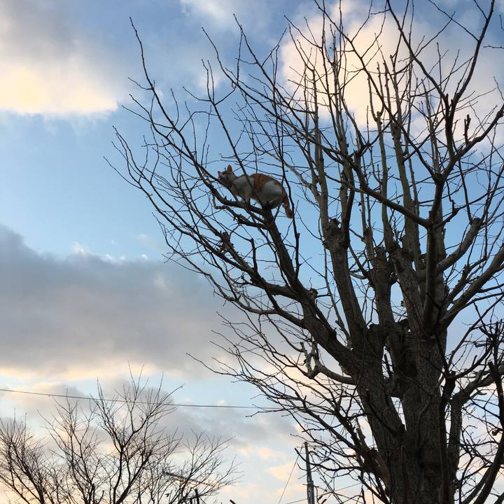 0d1a52e0 de01 467e 8d7a f73df00b0ca3