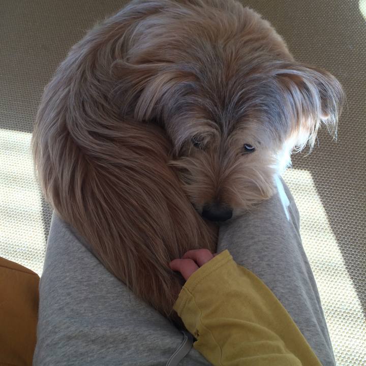 0d1a9910 065b 4833 af0f c3d1919c8a54