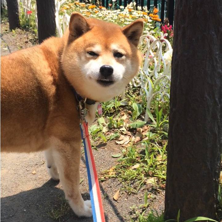 0d1cd5b3 975a 43b7 a63c a54aca638cca