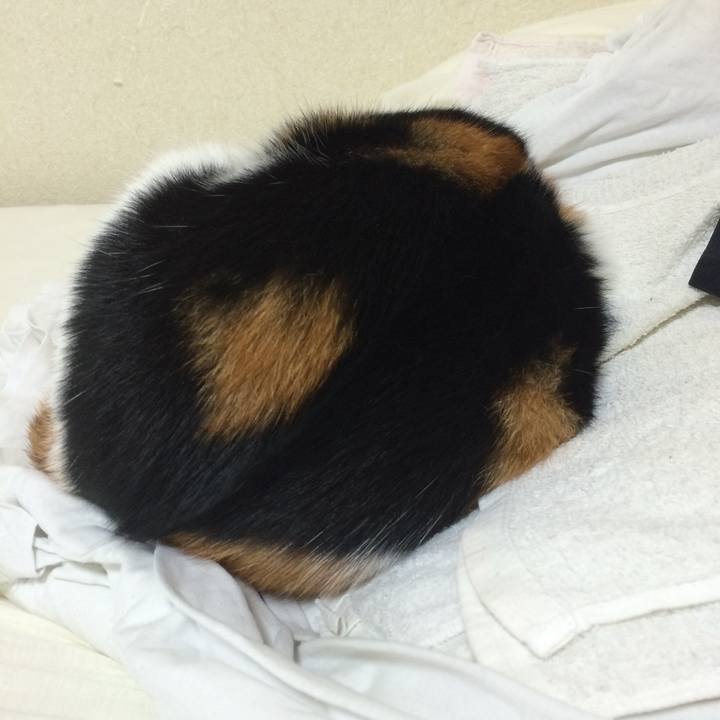 0d1cfbe3 30e7 4f3c 9113 b2c2fecd3e04