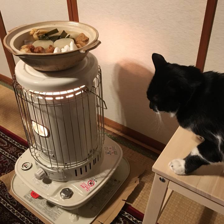 0d1d1f24 8645 46e4 9c82 2baae1f2f53a