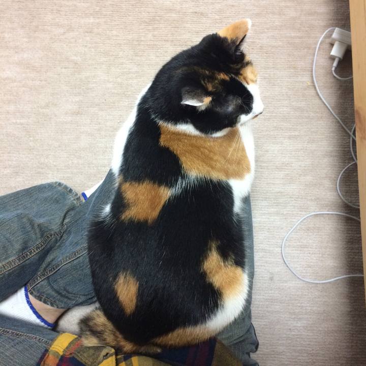 0d1d3976 bd3d 46a8 9ae7 29224980fbfa