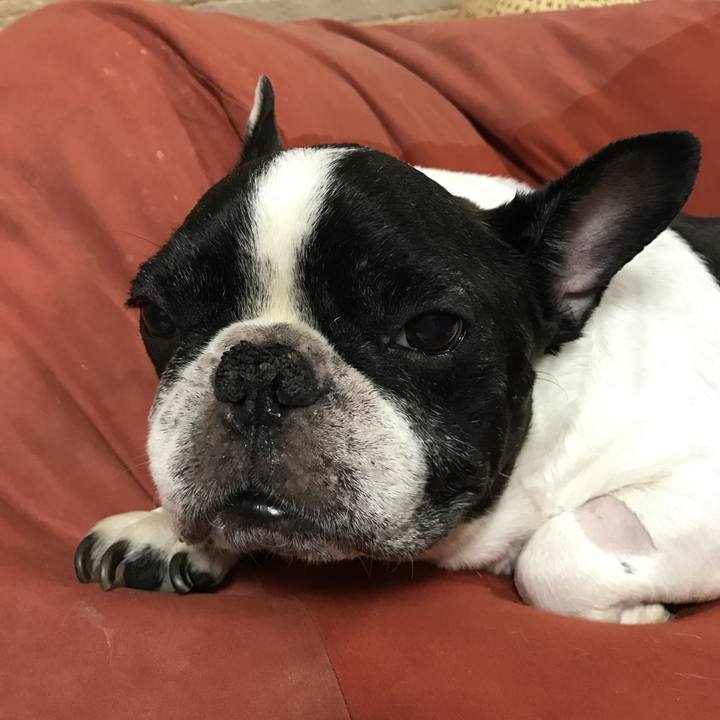 0d1e2cac a5be 4d2d 9316 f81a28d0b5f0