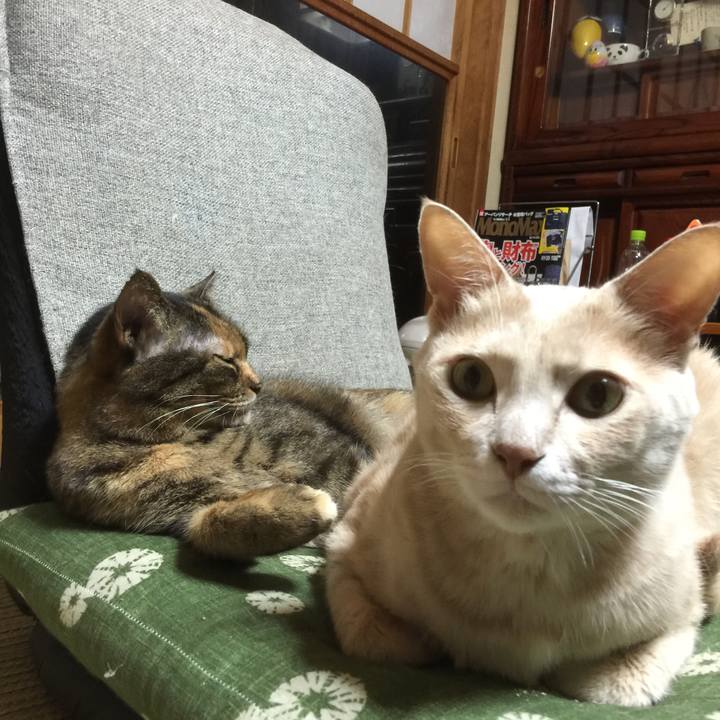 0d1e5686 99a3 4bfd bbe3 6da09c4c8958