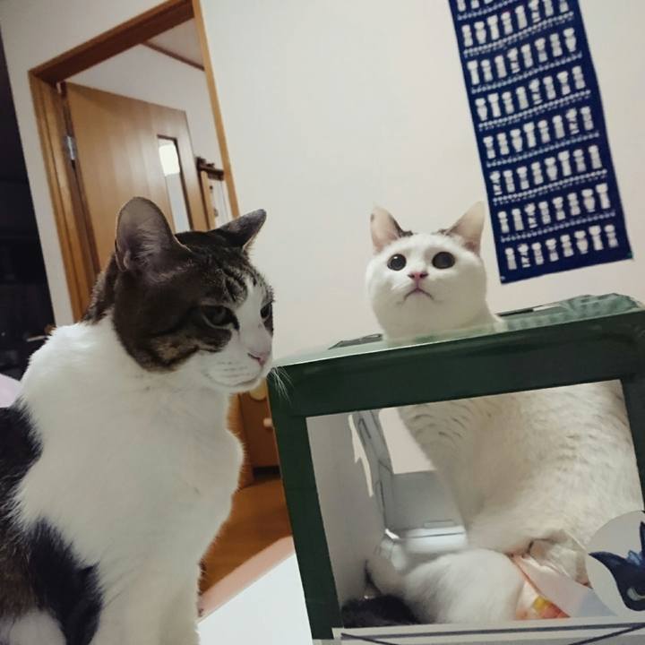 0d1ec345 a2b2 4903 981c 2f01cb1a7bc5