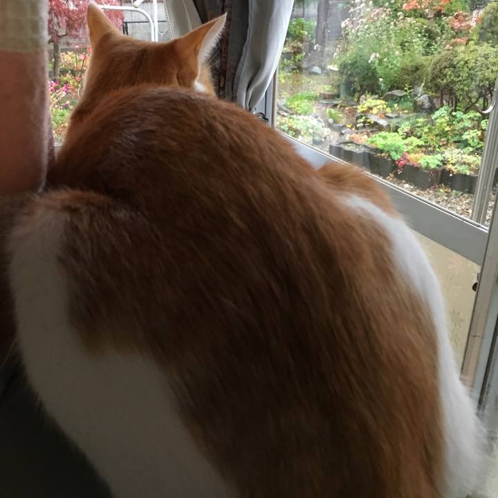 0d1ef48b f1c4 4f25 9f32 df13b5b2ceca