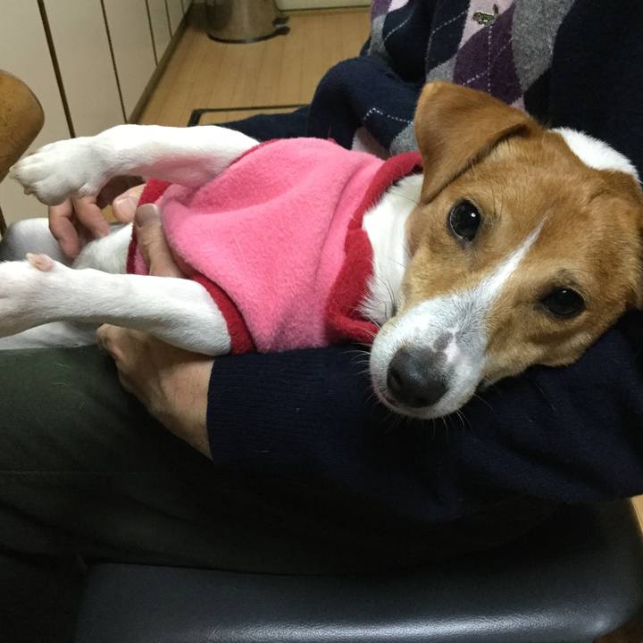 0d1f736d d0e1 4183 91af ec91686e3139