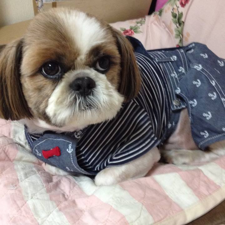 0d1f7cd5 cc91 45e9 9e80 ae92bd219860