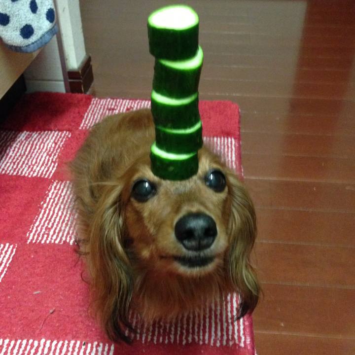 0d1ff1ba bf9b 4c1e a009 c064c76160a7