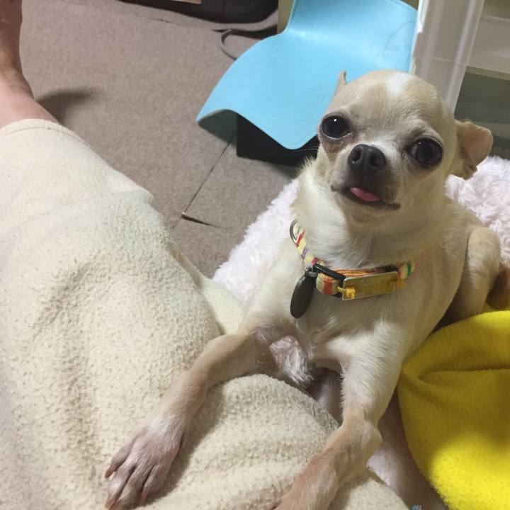 0d20ebc5 d414 49cb 8770 c501ea0f0b6e