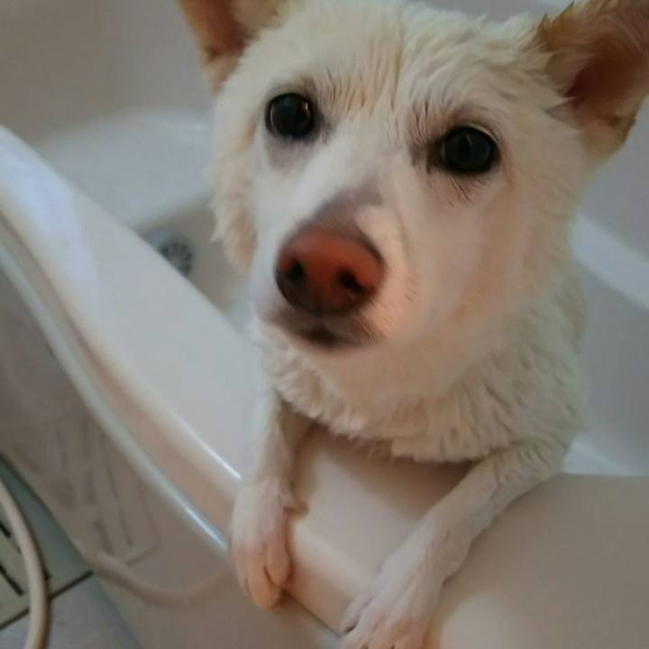 0d21f67b 9fe6 45eb 8a8e 6583d649f71a