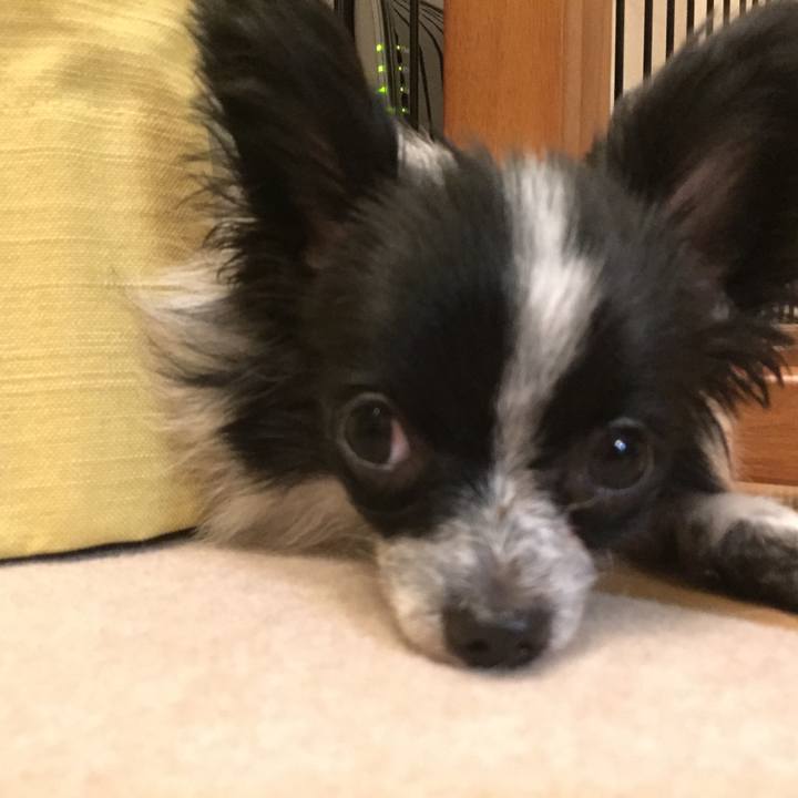 0d221e4b 0e66 44fa a478 394750c2c03c